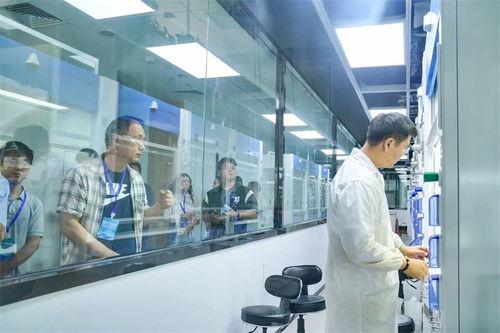 成都制药一厂爆料视频曝光,揭露行业黑幕与真相