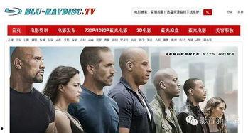 下载真人无码电影,真人无码电影下载背后的真相与警示