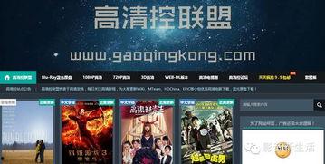 无码片下载区,揭秘高清资源与隐私保护