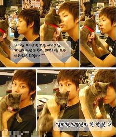 明星 宠物 栏目,见证爱与陪伴的瞬间