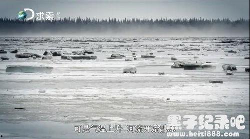 育空冰雪全集在线播放