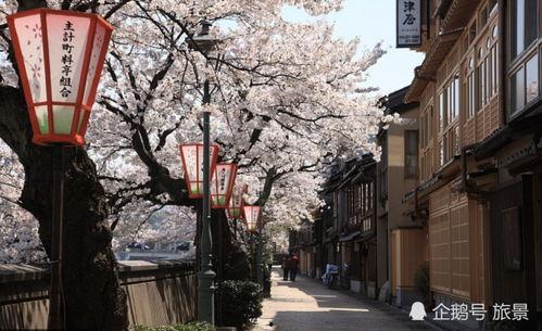 在日本叫个小姐多少钱,消费水平与风俗文化