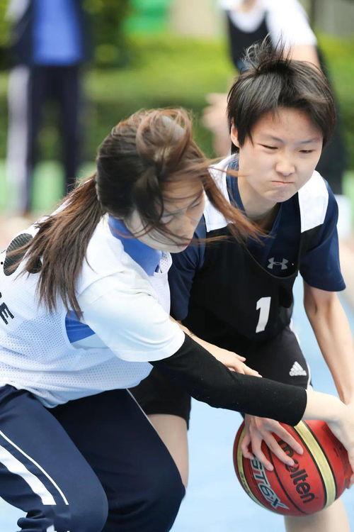 平冈步有无码的吗,探寻网络迷雾中的真实与争议