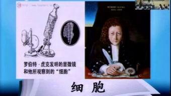 生命之约美声视频,美声演绎生命赞歌